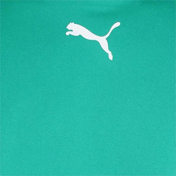 Футболка Puma teamRISE Jersey зеленый Муж L 704932-05 фото 3 — интернет-магазин Tapok