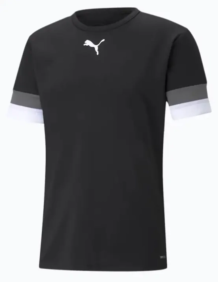 Футболка Puma teamRISE Jersey чорний Чол L 704932-03 фото 1 — інтернет-магазин Tapok