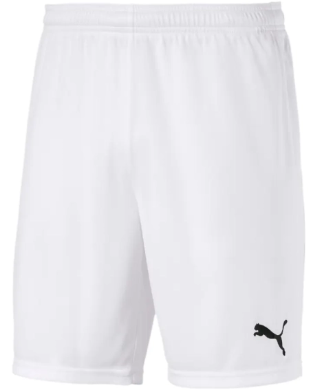 Шорти Puma teamGOAL 23 knit Shorts білий Чол L 704262-04 фото 1 — інтернет-магазин Tapok