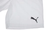 Шорти Puma teamRISE Short білий Чол L 704942-03 Фото 5