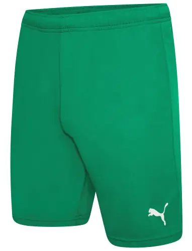 Шорты Puma teamRISE Short зеленый Муж L 704942-05 фото 1 — интернет-магазин Tapok