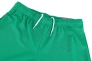 Шорты Puma teamRISE Short зеленый Муж L 704942-05 Фото 2