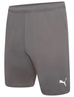 Шорты Puma teamRISE Short серый Муж L 704942-13