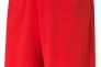 Шорти Puma teamRISE Short червоний Чол L 704942-01 Фото 1