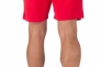 Шорти Puma teamRISE Short червоний Чол L 704942-01 Фото 3