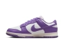 Кроссовки женские Nike Dunk Low Next Nature (DD1873-108) Фото 10