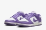 Кроссовки женские Nike Dunk Low Next Nature (DD1873-108) Фото 1