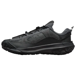 Кроссовки мужские Nike Acg Mountain Fly 2 Low Gore-Tex (HF6245-001)