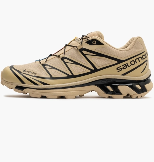 Кроссовки мужские Salomon Xt-6 Gtx Beige 474455 фото 1 — интернет-магазин Tapok