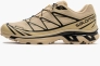 Кроссовки мужские Salomon Xt-6 Gtx Beige 474455 Фото 1