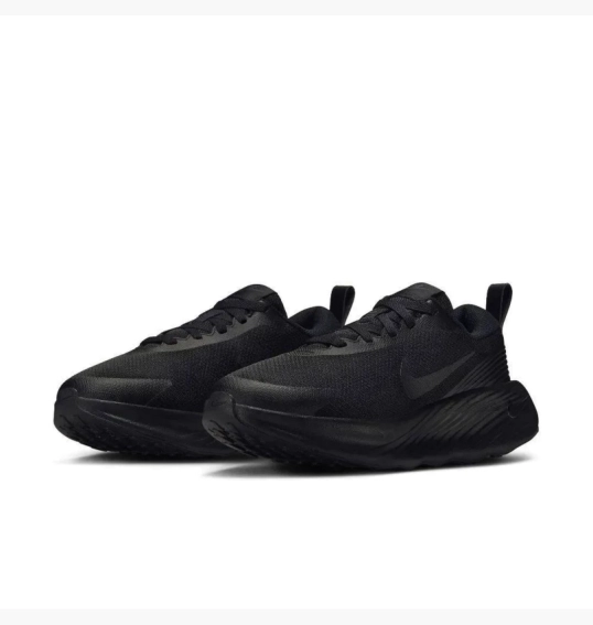 Кроссовки мужские Nike Promina Triple Running Athletic Black FV6343-001 фото 2 — интернет-магазин Tapok