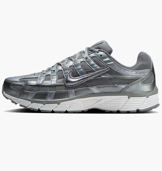 Кроссовки мужские Nike P-6000 Metallic CD6404-023 фото 1 — интернет-магазин Tapok