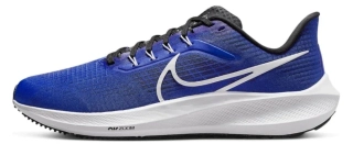 Кроссовки Nike Pegasus 39 (синие) DH4071-400