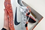 Кроссовки Nike Pegasus Easyon OLY HF5357-900 Фото 1