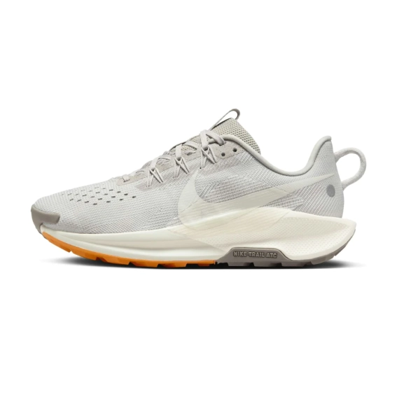 Кроссовки Nike Pegasus Trail 5 DV3865-004 фото 1 — интернет-магазин Tapok