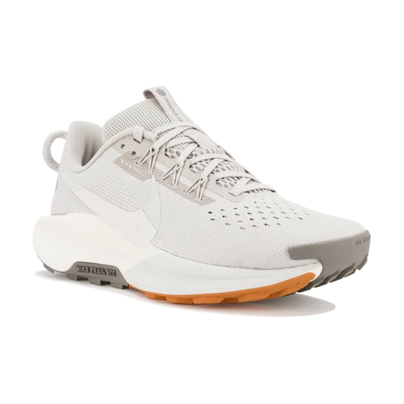 Кроссовки Nike Pegasus Trail 5 DV3865-004 фото 2 — интернет-магазин Tapok