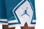 Шорты Jordan Diamond (синие) DX1487-457 Фото 2