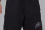 Шорти чоловічі Jordan Brooklyn Fleece (IB7910-010) Фото 2