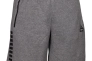 Шорты Select Oxford sweat shorts 625870-849 Фото 1