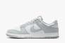 Кроссовки Nike DUNK LOW RETRO HF5441-105 Фото 1