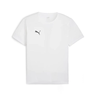 Футболка Puma teamRISE Matchday 706132-04