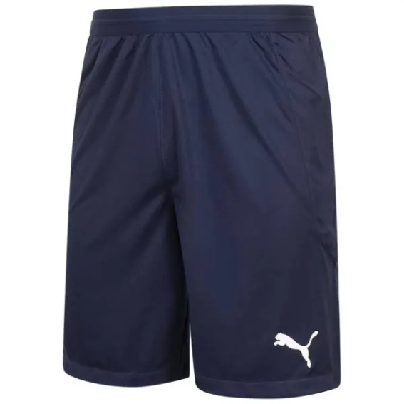 Шорти PUMA teamFINAL Knit Men's Shorts 704257-06 фото 1 — інтернет-магазин Tapok