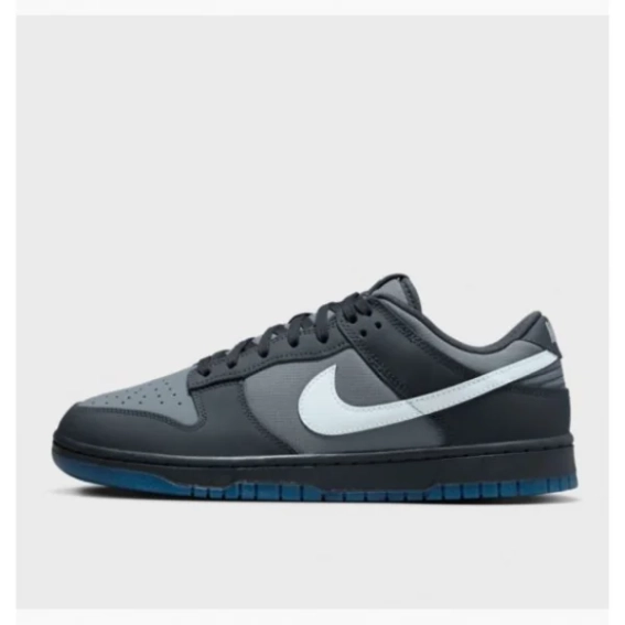 Кросівки NIKE DUNK LOW FV0384-001 фото 1 — інтернет-магазин Tapok