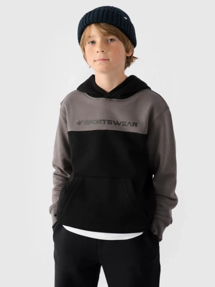 Джемпер флисовый детский SWEATSHIRT M1222 4FJWAW24TSWSM1222-20S 4F 122 Черный 4FJWAW24TSWSM1222-20S фото 1 — интернет-магазин Tapok