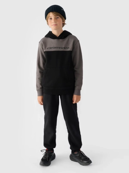 Джемпер флисовый детский SWEATSHIRT M1222 4FJWAW24TSWSM1222-20S 4F 122 Черный 4FJWAW24TSWSM1222-20S фото 4 — интернет-магазин Tapok