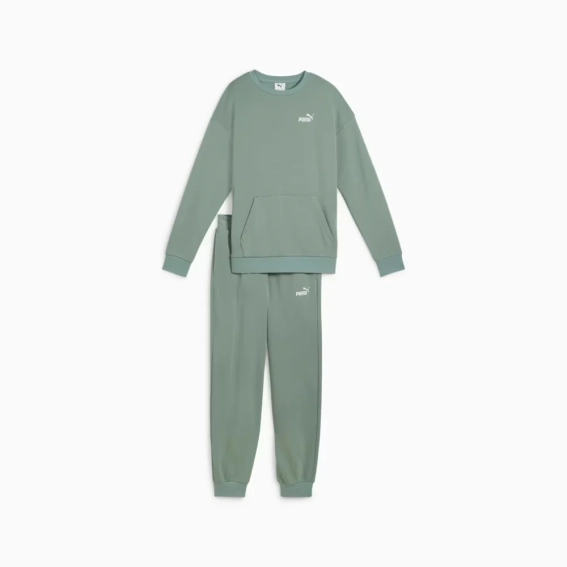 Костюм спортивный Relaxed Sweat Suit TR cl 68507430 Puma L Фисташковый 68507430 фото 5 — интернет-магазин Tapok