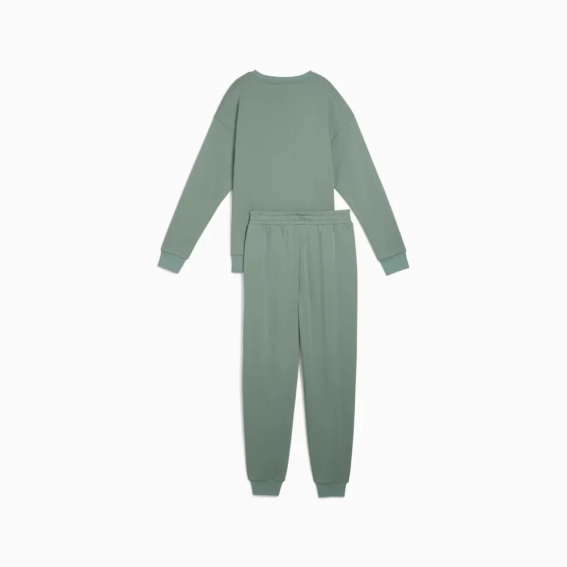 Костюм спортивный Relaxed Sweat Suit TR cl 68507430 Puma L Фисташковый 68507430 фото 6 — интернет-магазин Tapok