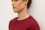 Кофта BASIC CREW NECK SWEATER 1027299-30315 Tom Tailor M Бордовый 1027299-30315 Фото 3