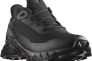 Кроссовки ALPHACROSS 5 GTX L47307500 SALOMON 10 (44,5) Черный L47307500 Фото 1