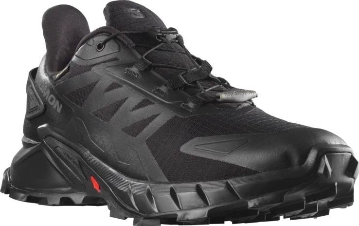 Кроссовки SUPERCROSS 4 GTX L41731600 SALOMON 9,5 (44) Черный L41731600 фото 1 — интернет-магазин Tapok
