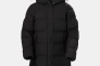 Парка W BLOSSOM PUFFY PARKA 53624990 HELLY HANSEN L Черный 53624990 Фото 6