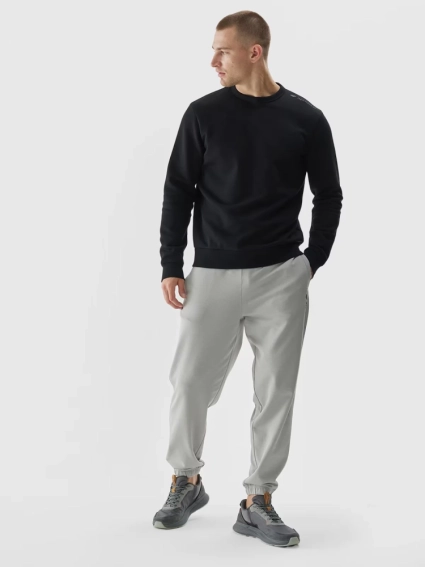 Світшот SWEATSHIRT M1258 4FWAW24TSWSM1258-20S 4F 2XL Чорний 4FWAW24TSWSM1258-20S фото 3 — інтернет-магазин Tapok