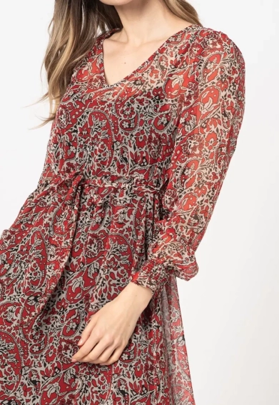 Сукня ONLIRENA LIFE L/S MIDI DRESS WVN 15243143-Urban Red-AOP:ROCKING PAISLEY ONLY L Червоний 15243143-Urban Red-AOP:RO фото 3 — інтернет-магазин Tapok