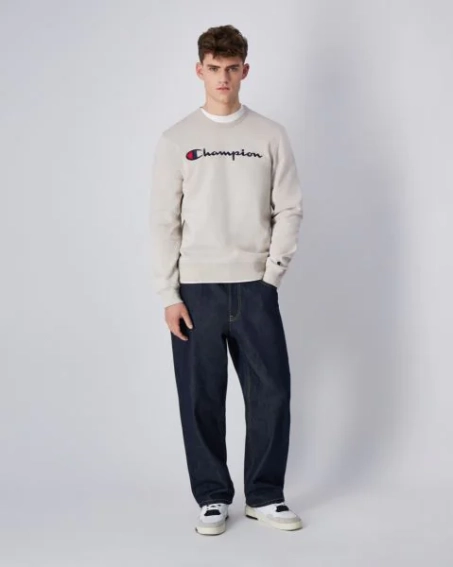 Толстовка CREWNECK SWEATSHIRT 220254-ES057 Champion L Бежевий 220254-ES057 фото 3 — інтернет-магазин Tapok
