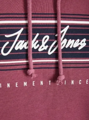 Толстовка JJLEO SWEAT HOOD 12200768-Hawthorn Rose Jack&Jones L Розовий 12200768-Hawthorn Rose фото 2 — інтернет-магазин Tapok
