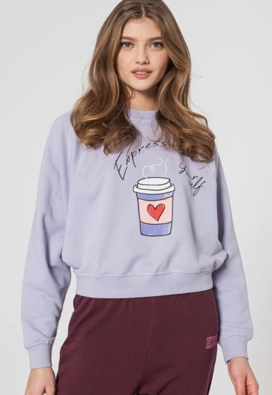 Толстовка ONLJENNIFER LIFE L/S O-NECK BOX SWT 15250226-Cosmic Sky-Print:COFFEE ONLY L Бузковий 15250226-Cosmic Sky-Print фото 1 — інтернет-магазин Tapok