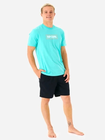 Футболка 01AMTE-46 Rip Curl L Голубой 01AMTE-46 фото 4 — интернет-магазин Tapok