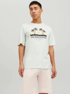 Футболка JORCODY SUMMER TEE SS CREW NECK 12235154-Pale Blue Jack&Jones M Фісташковий 12235154-Pale Blue
