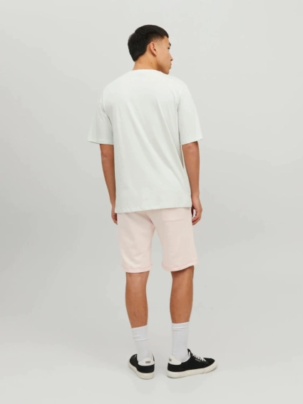 Футболка JORCODY SUMMER TEE SS CREW NECK 12235154-Pale Blue Jack&amp;Jones M Фисташковый 12235154-Pale Blue фото 2 — интернет-магазин Tapok