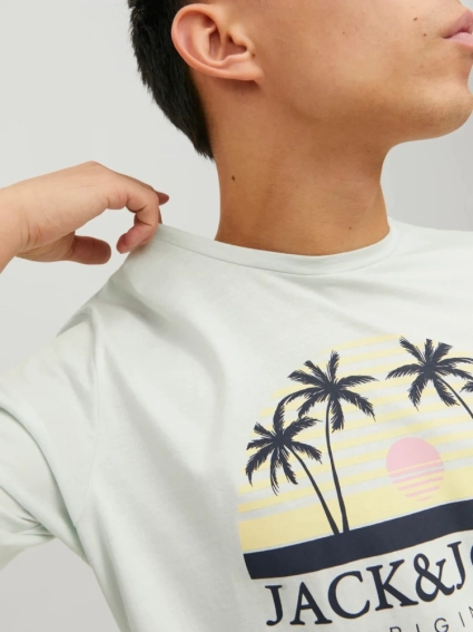 Футболка JORCODY SUMMER TEE SS CREW NECK 12235154-Pale Blue Jack&amp;Jones M Фисташковый 12235154-Pale Blue фото 3 — интернет-магазин Tapok