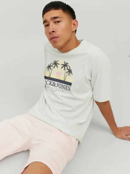 Футболка JORCODY SUMMER TEE SS CREW NECK 12235154-Pale Blue Jack&amp;Jones M Фисташковый 12235154-Pale Blue фото 4 — интернет-магазин Tapok