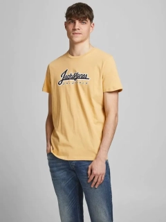 Футболка JORREGGIE TEE SS CREW NECK 12189836 Sahara Sun-JJ PRINT Jack&Jones L Жовтий 12189836SaharaSun-JJ PRIN