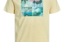 Футболка JORSUITE TEE SS CREW NECK 12171675 Flan Jack&amp;Jones XL Желтый 12171675Flan Фото 1