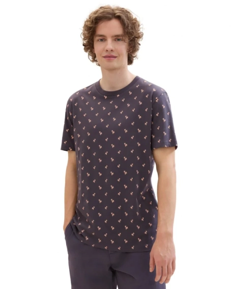 Футболка Men&#39;s DENIM T-shirt 1042069ХХ35506 Tom Tailor L Темно-коричневый 1042069ХХ35506 фото 1 — интернет-магазин Tapok