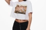 Футболка ONLLOONEY TUNES LIFE S/S TOP BOX JRS 15229462 Bright White ONLY XS Белый 15229462BrightWhite Фото 3