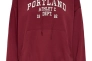Худые ONLCOLLEGE LIFE L/S HOOD SWT 15235558 Cabernet ONLY XL Бордовый 15235558Cabernet Фото 3